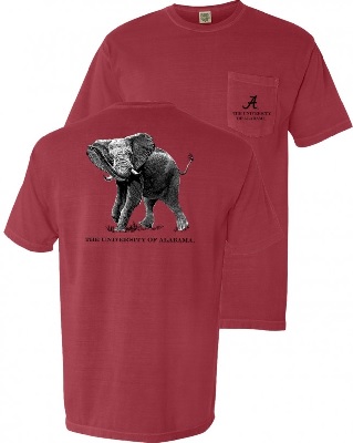 Alabama Crimson Tide T-Shirt - University of Alabama - Pocket - Comfort Colors - Crimson