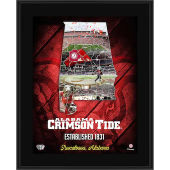 Alabama Crimson Tide Fanatics Authentic 105 x 13 2018 Sublimated State Plaque