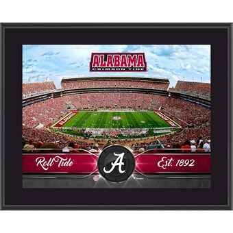 Alabama Crimson Tide Fanatics Authentic 105 x 13 Sublimated Team Plaque