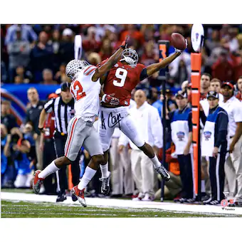 Amari Cooper Alabama Crimson Tide Fanatics Authentic Autographed 16 x 20 One Handed Sideline Catch Photograph