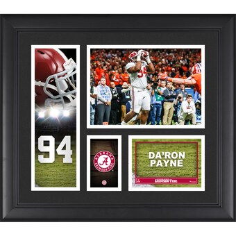 DaRon Payne Alabama Crimson Tide Fanatics Authentic Framed 15 x 17 Player Collage