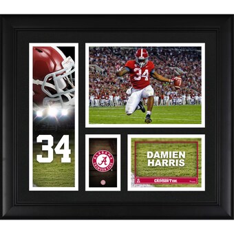 Damien Harris Alabama Crimson Tide Fanatics Authentic Framed 15 x 17 Player Collage