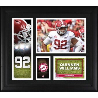 Quinnen Williams Alabama Crimson Tide Fanatics Authentic Framed 15 x 17 Player Collage