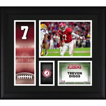 Trevon Diggs Alabama Crimson Tide Fanatics Authentic Framed 15 x 17 Player Core Collage